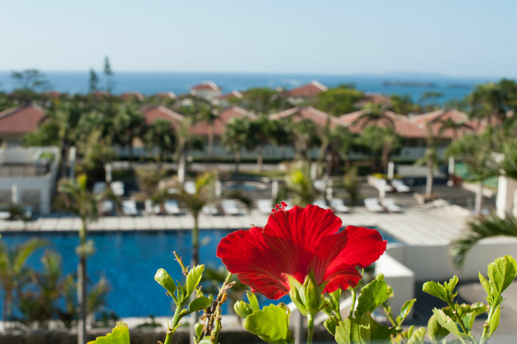 Kanucha Bay Hotel & Villas Nago Exterior foto